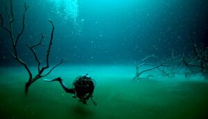 Cenote2.jpg