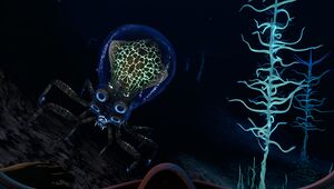 Crabsquid-1024x581.jpg