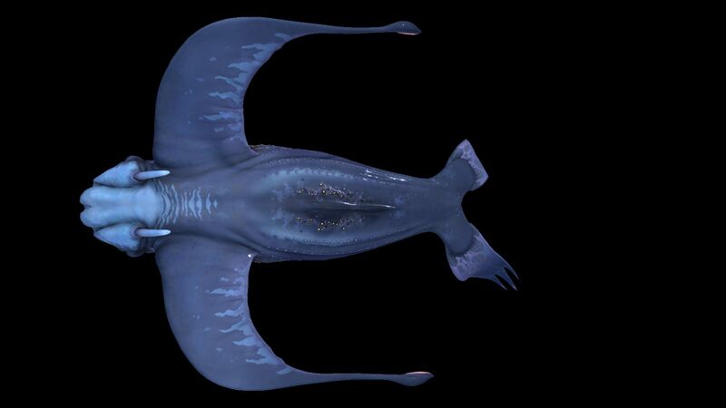File:Glow Whale 3.jpg