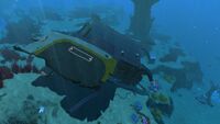Grassy Plateaus Large Wreck 3