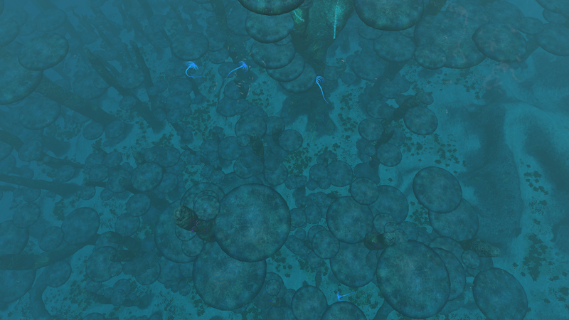 File:NWMF View Above.png