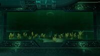 One more aquarium
