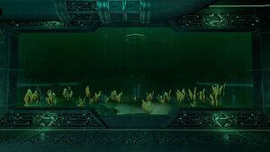 PipeAquarium3.jpg
