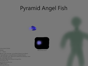 PyramidAngelFishConcept.png