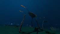 Sea Treader's Path Biome.png