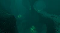 The entrance to a cave system in the Sparse Reef