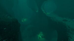 20160722110923 1.jpg