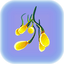 Creepvine Seed Cluster.png