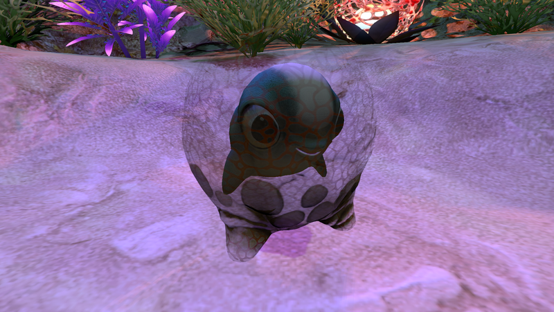 File:Cuddle Fish Egg Seabed.png