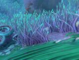 Small look at the Twisty Bridges biome