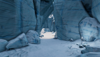 A narrow canyon within the biome