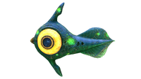 Infected Peeper