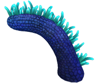 Mohawk Flora.png