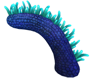 Mohawk Flora.png
