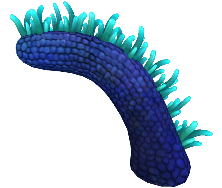 File:Mohawk Flora.png
