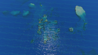 A view from above of the Safe Shallows