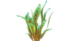 Spotted Reeds Flora (BZ).png