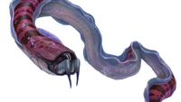 Crab Snake Fauna.png