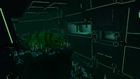 An aquarium inside the Disease Research Facility containing the skeleton of an extinct life form