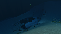 The Large Wreck in the Dunes