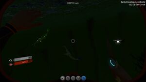 Glowing Stalker.jpg