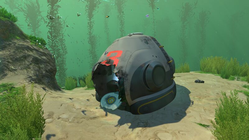 File:Kelppod3.jpg