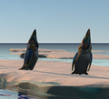 Thumbnail for version as of 23:08, 6 August 2021