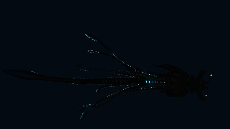 File:SeaEmperor7.jpg