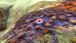 Acid Mushroom (3).jpg