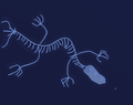 Thumbnail for version as of 16:24, 8 August 2020