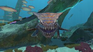Boneshark1.jpg