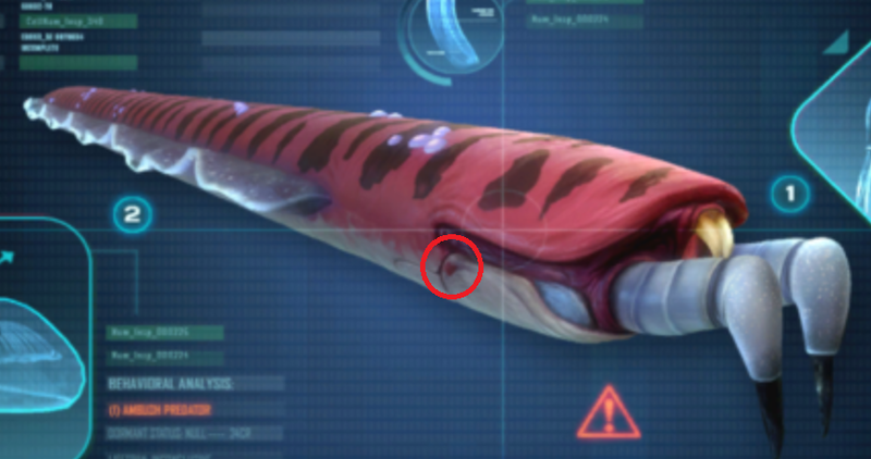 File:Crabsnake2.png