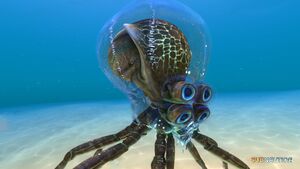 Crabsquid (2).jpg