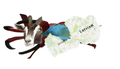 Thumbnail for version as of 21:47, 6 August 2021