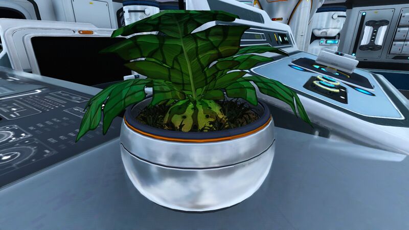 File:Marblemelon Plant Research Base Omega.jpg