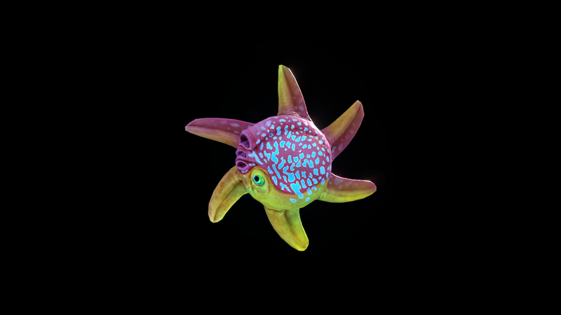File:Spinnerfish Side View.png