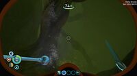 Another developer screenshot of the biome, shared on Twitter