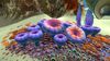 Acid Mushroom (01).jpg