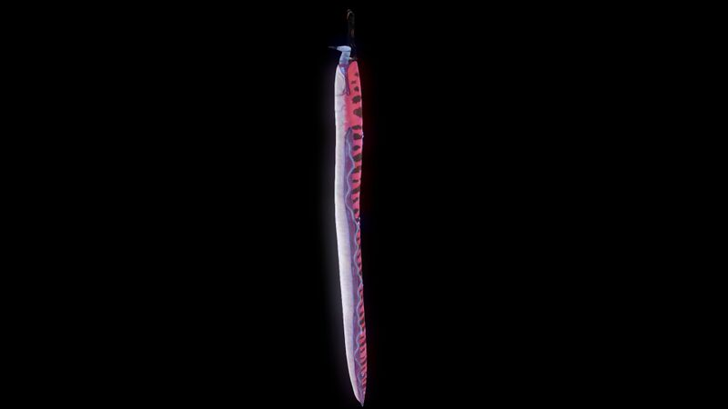 File:Crabsnake10.jpg