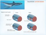Squidshark jet gill details - by Alex Ries