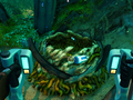 Grappling Hook Fragment in a Seamonkey Nest