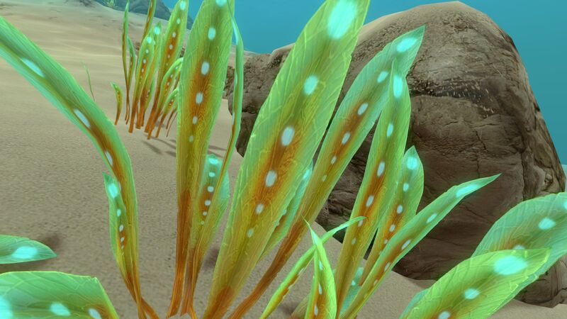 File:GreenReeds03.jpg