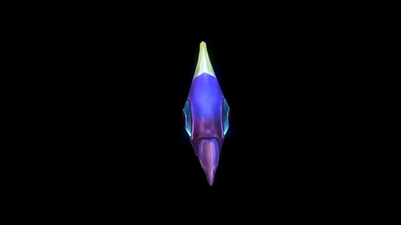 File:Holefish6.jpg