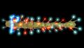 Thumbnail for version as of 05:08, 30 September 2016