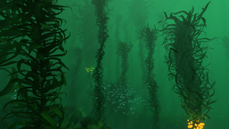 File:KelpDense1.png