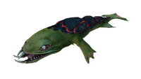 Lava Lizard Fauna B.png
