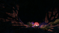A small ledge with even more Flora