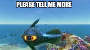 Tell me more.jpg