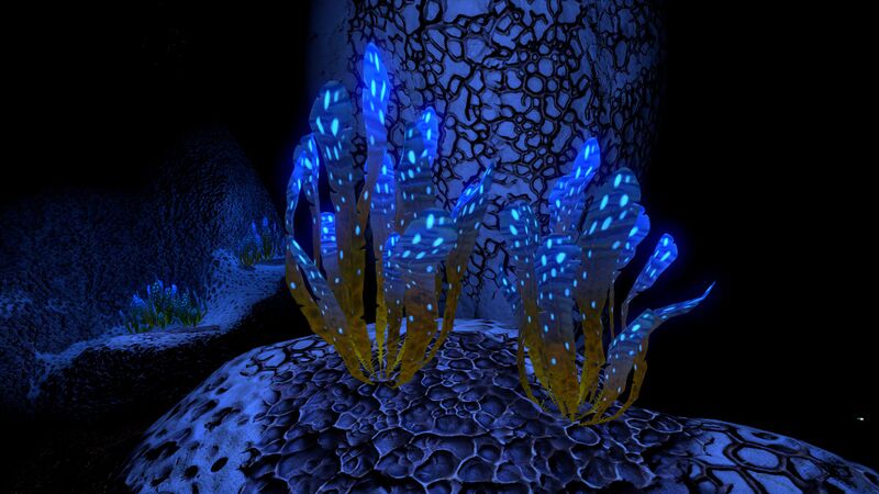 File:Underwater Islands Caves (2).jpg