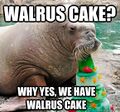 Why yes. We walruses have cake.
